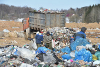 Жителей Подмосковья старше 80 лет освободят от платы за вывоз мусора 