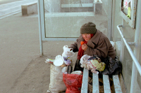 В Подмосковье предложили создать центры для временной регистрации бездомных