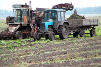 Красноярские фермеры получат поддержку в размере 60 млн рублей