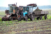 Кубань и Минсельхоз подписали соглашение о поддержке фермеров