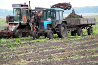 Налоговики проверили сельхозпроизводителей в 13 регионах на законность возврата НДС