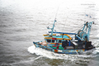 Сенатор прокомментировала закон об упрощении механизма продажи браконьерских лодок