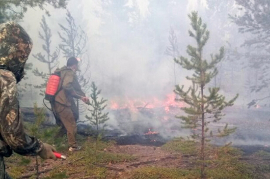 Количество лесных пожаров на Дальнем Востоке выросло более чем в 30 раз, сообщили в МЧС 