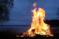 Штраф за неосторожное обращение с огнём в лесу предлагают увеличить