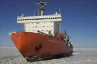 Новые ледоколы, атомоходы и инфраструктура: участники Международного арктического форума обсудят развитие Севморпути