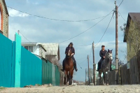 В Волгоградской области посёлки будет патрулировать конная полиция