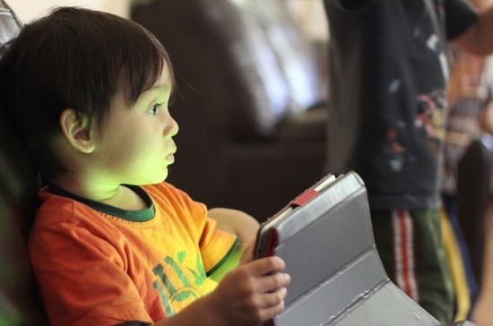 В Совфеде предложили IT-компаниям вместе обезопасить Интернет для детей