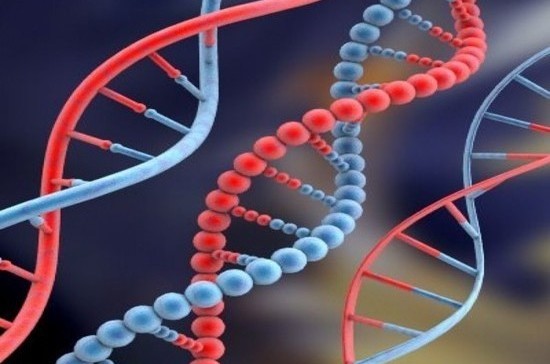 Зачем ДНК свой праздник