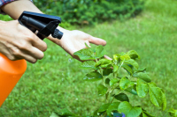 Минсельхоз предложил обязательные требования безопасности при обращении с пестицидами