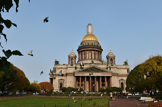 В Петербурге депутаты предложили дать статус зелёной зоны территории под «Арт-парк»
