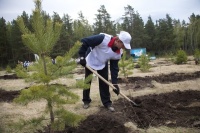 Красноярские депутаты требуют повысить эффективность лесного комплекса