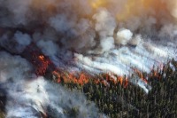 Минэкономразвития подготовило проект об изъятии земли за нарушение пожарной безопасности