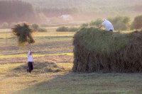 В Трудовом кодексе могут закрепить преференции для работниц в сельской местности