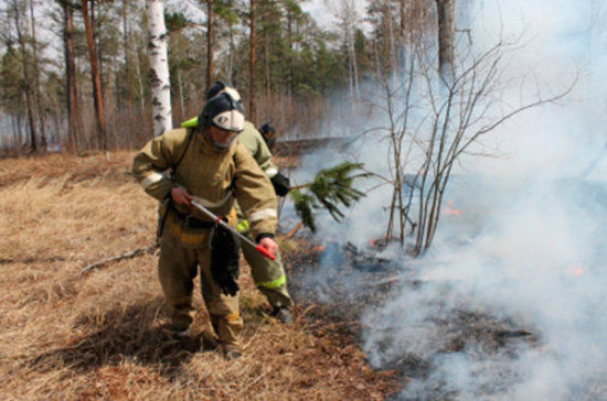 В пяти районах Иркутсткой области из-за лесных пожаров введён режим ЧС