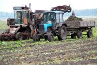 Минсельхоз: до российских аграриев довели более половины федеральных субсидий 