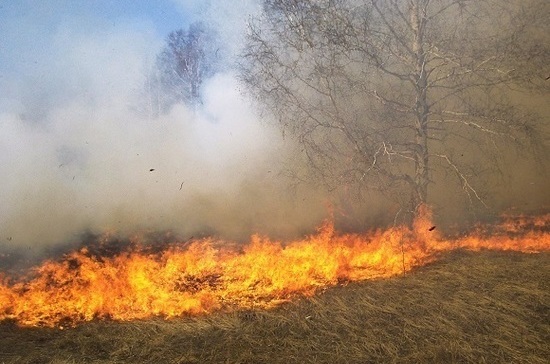 Читатели «Парламентской газеты» назвали виновных в лесных пожарах