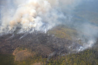 У населённых пунктов в Сибири и на Дальнем Востоке действует восемь очагов пожаров 