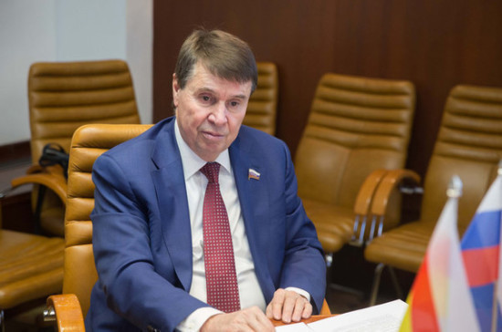 Сенатор объяснил заявление главы МИД Германии о диалоге с Россией