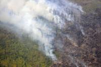 В Иркутской области отметили режим ЧС после стабилизации лесопожарной обстановки