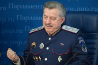 Депутат оценил приглашение Зеленского на празднование 75-летия Победы в Москве