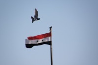 Сирийские войска 31 августа в одностороннем порядке прекратят огонь в Идлибе