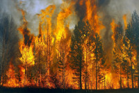 В Иркутской области площадь лесных пожаров за выходные выросла в три раза
