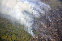 Генпрокуратура выявила случаи укрывательства преступлений при лесных пожарах