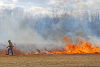 Понятие «ландшафтный пожар» закрепят в законодательстве