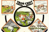 В 20-30 годы прошлого века утрата домашнего скота грозила голодом. Плакат 20-е годы ХХ века