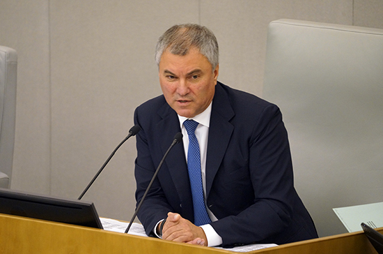 Володин поручил комитетам Госдумы разобраться с «законодательными завалами»