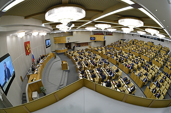 Госдума приняла поправки в федеральный бюджет на 2019 год