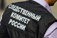 Следственный комитет начал проверку в связи с отравлением детей в школе под Нижним Новгородом