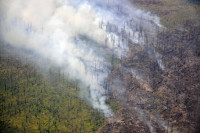 Бороться с лесными пожарами помогут землепользователи