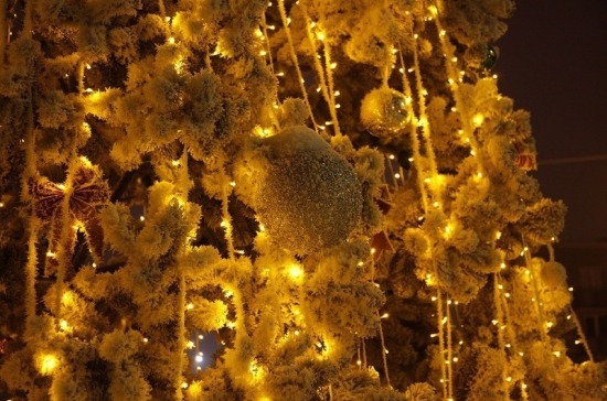 В Санкт-Петербурге к Новому году установят 64 ели