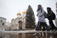 Главную новогоднюю ель страны привезут в Москву 15 декабря