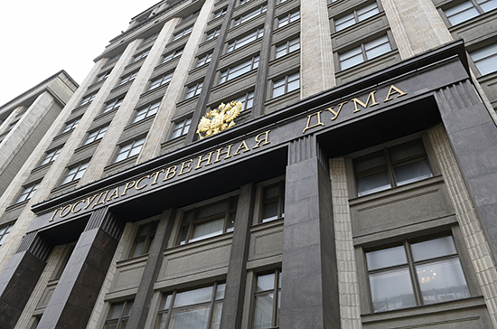 Петербургские депутаты внесли в Госдуму поправки в Закон о приватизации госимущества