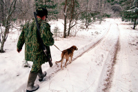 Госдума приняла в первом чтении законопроект об охоте в искусственных условиях