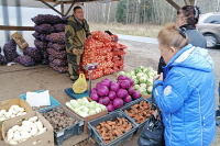 Розничные рынки в Крыму не станут капитальными раньше 2025 года