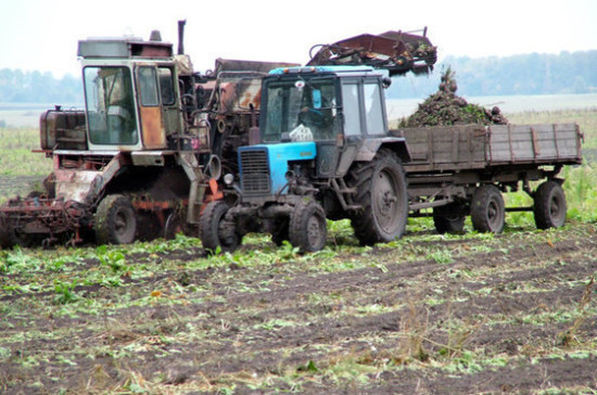 Владимир Путин призвал создать условия для развития мелких семейных фермерских хозяйств