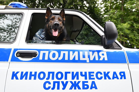 В Калининграде прошли обучение служебные собаки флота