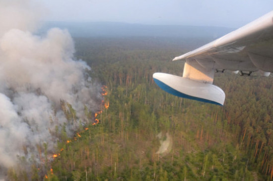 Майоров назвал главные проблемы лесной отрасли