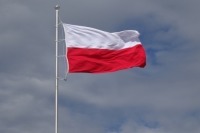 Историк осудил резолюцию Польши о роли СССР во Второй мировой