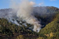 Эксперт рассказал, как пожары в Австралии повлияют на планету