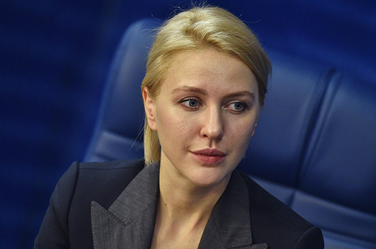 Аршинова предложила согласовывать техзадания на строительство детсадов с общественностью