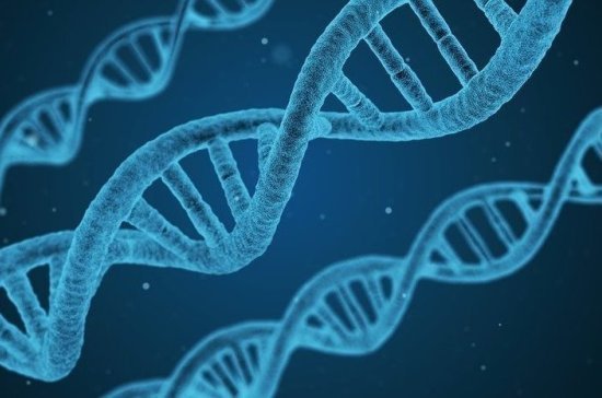 Биолог дал советы планирующим поездку в Азию