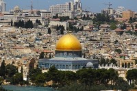 Генсек ЛАГ оценил предложенную Трампом «сделку века» по Палестине
