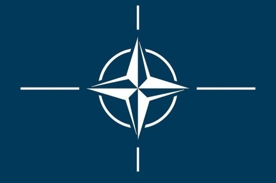 Эксперт объяснил, почему европейские политики всё чаще критикуют НАТО