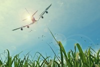 Минтранс представил проект авиационных правил защиты самолётов от птиц
