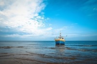 Плановые проверки рыболовецких судов в районе промысла могут отменить