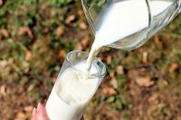 Эксперты назвали свойства растительных аналогов молока